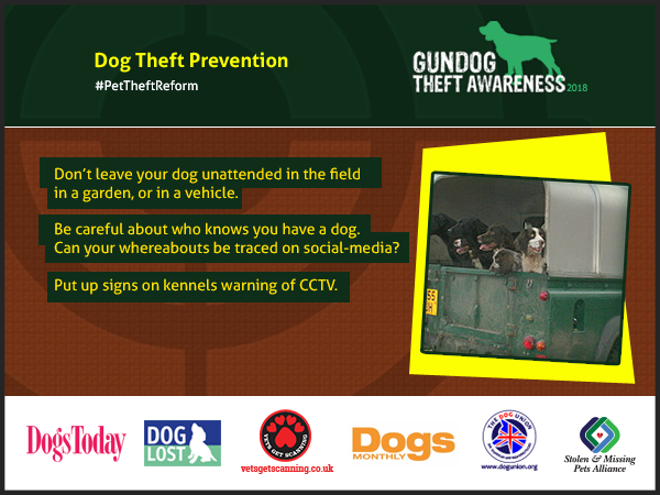 Gundog Theft Awareness