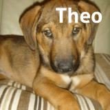 Theo
