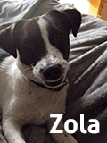 Zola